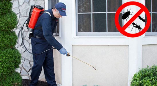 Aksaray Akrep İlaçlama böcek ilaçlama ve haşere kontrolü — ilaclama-tr.com